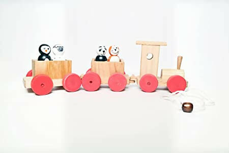 Pull Along Toy Wooden Train Set