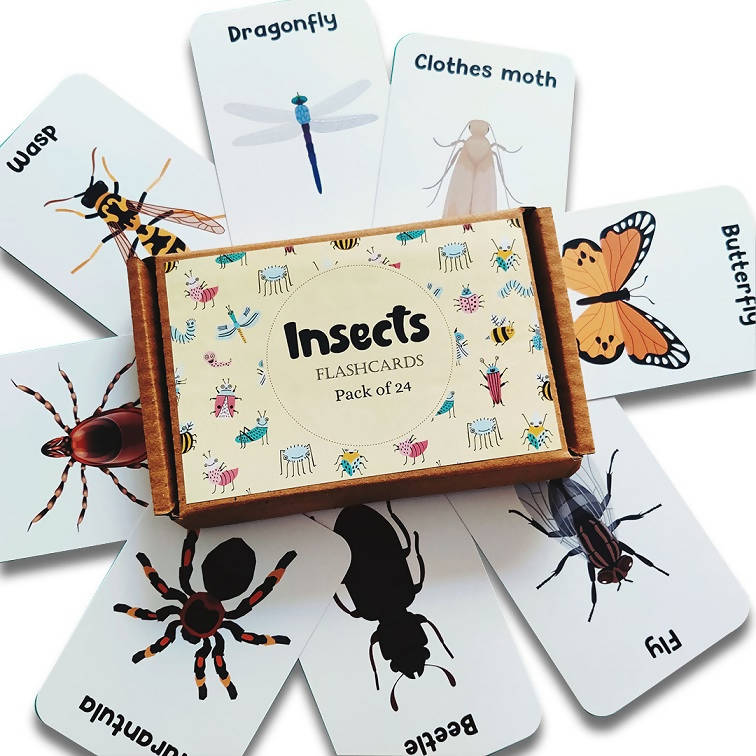Insect Flash Cards- Pack of 24