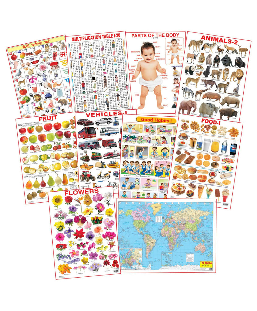 Educational Charts - Combo 5 (10 Charts)