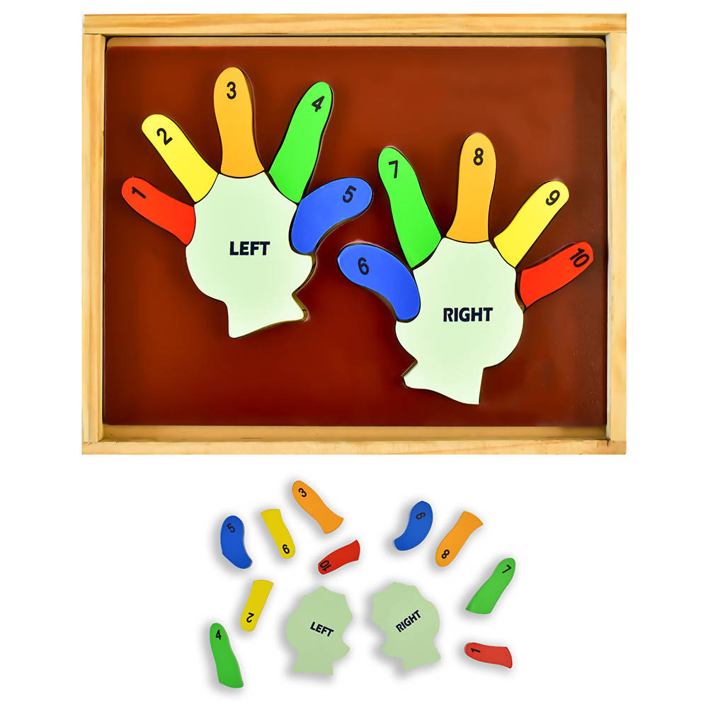 Learn Counting - Left Hand and Right Hand