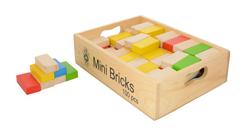 Mini Bricks Set (100 bricks)
