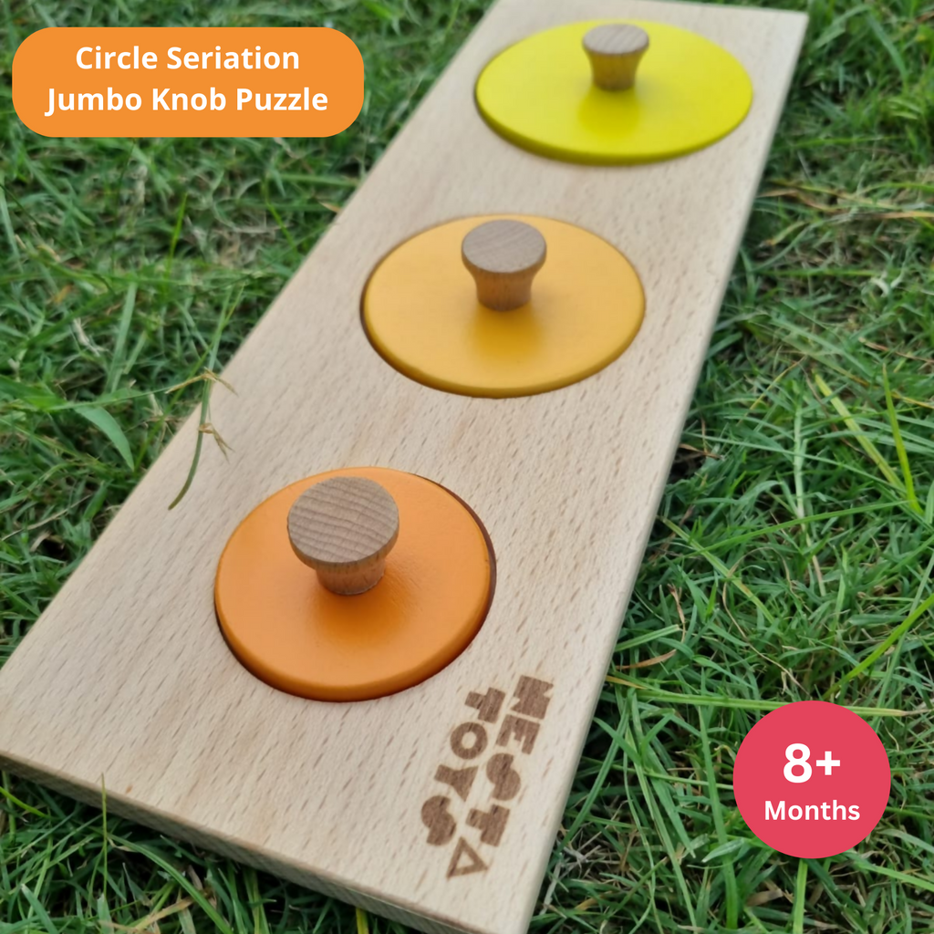 Montessori Wooden Circle Seriation Puzzle | Jumbo Knob Educational Shapes Puzzles for Baby