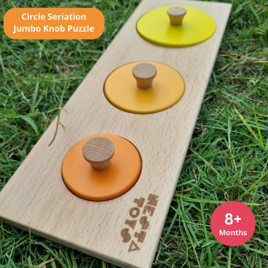 Montessori Wooden Circle Seriation Puzzle Jumbo Knob Educational Sha Lilthugs