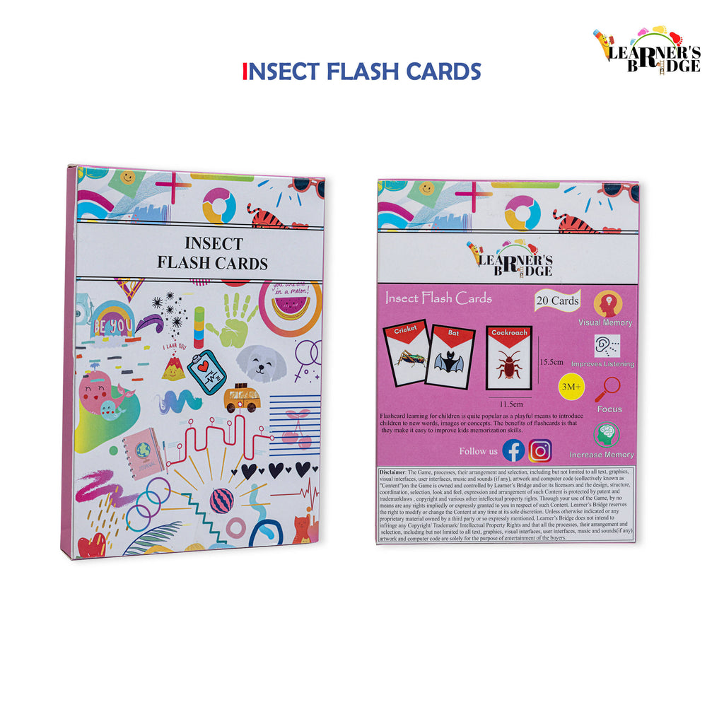 Insect flash cards